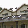 Roofing_623